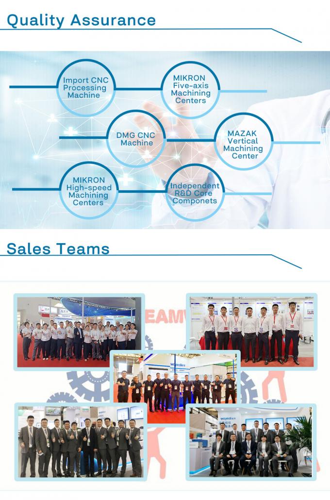 Double System Ion Chromatography Instrument With Amperometric Detectors